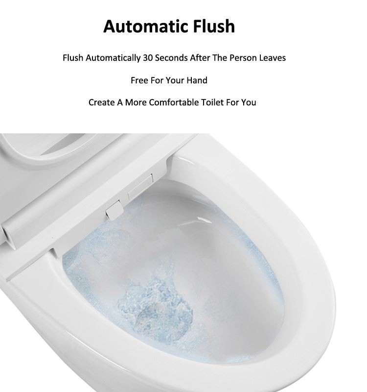 Automatic Flush.webp Automatic Flush.webp